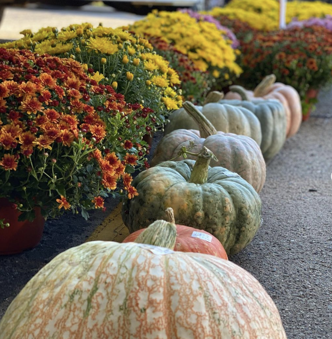 image from @mplsfarmmarket